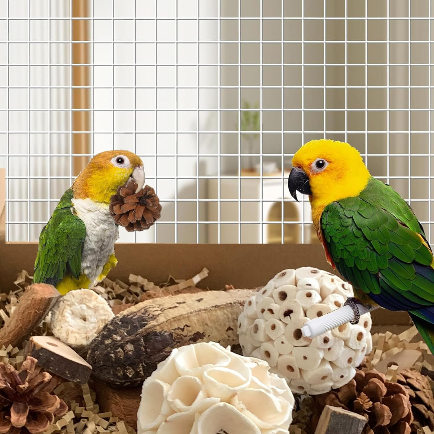 Bird Foraging Shredding Toys Box, Birds Natural Interactive Chew and Forage Toy for Parakeets, Parrot, Cockatiels, Conures, Lovebirds image number 3