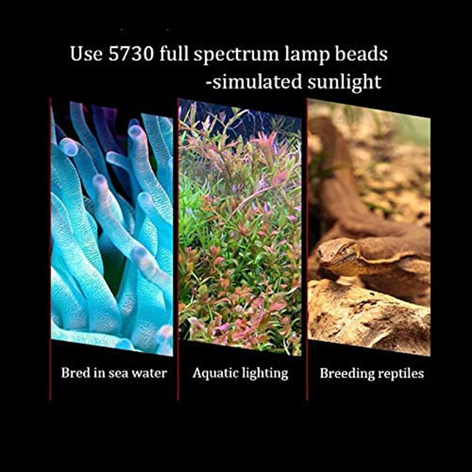 Bigtron Full Spectrum Aquarium Light, Small Clip Light for Fish Tank - Blue-Red image number 3