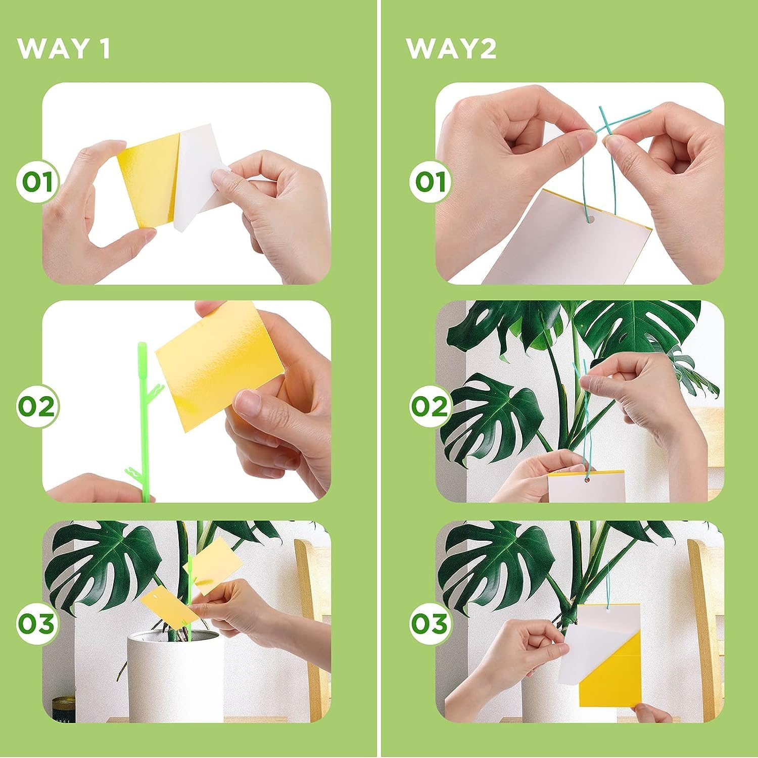 Sticky Traps 40Pcs Fruit Fly Sticky Traps and Fungus Gnat Traps for Plants, Flying Insect Trap Sticky Sticks, Yellow Sticky Insect Traps Disposable Glue Traps for White Flies, Mosquitos, Fungus Gnats image number 3