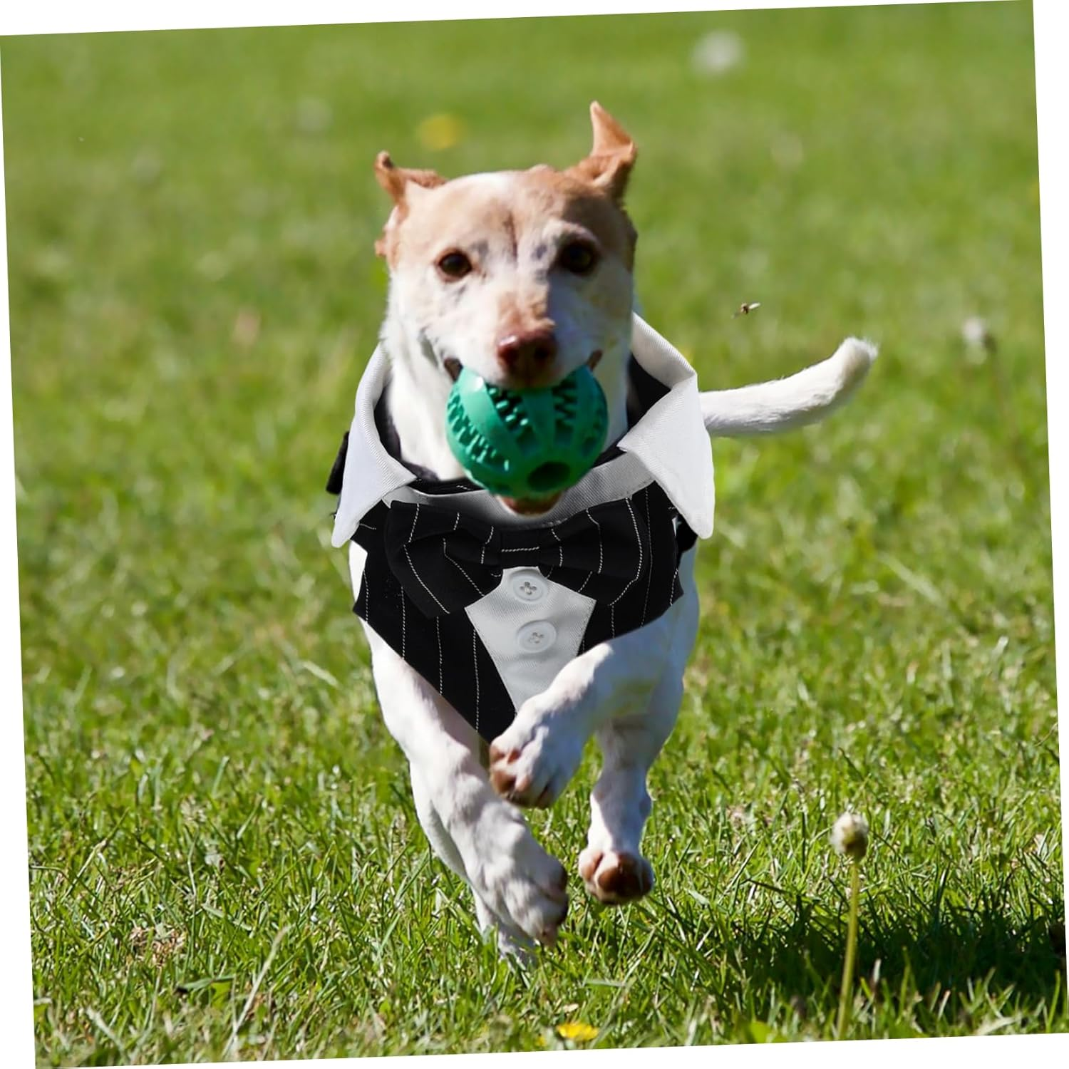 Mipcase PET Tuxedo Suit Formal Dog Bowtie Wear-Resistant Puppy Wedding Attire Washable Party Dress up Clothes Comfortable Polyester Scarf image number 1