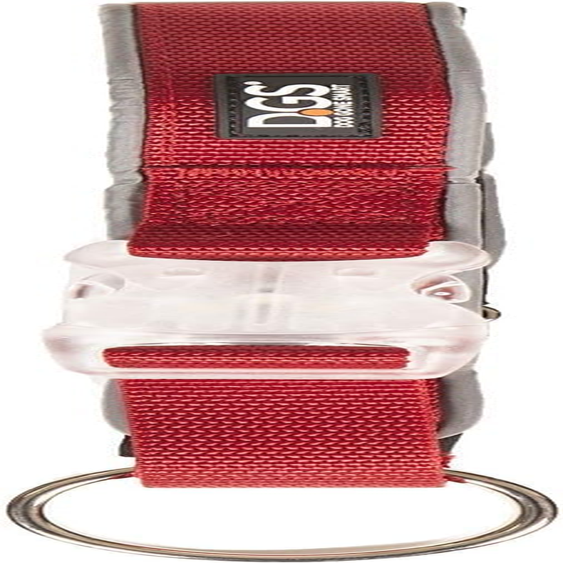 Dog Gone Smart Pet Products Rechargeable LED Light up Comet Dog Collar, Red, Large, 18"-25" (DGSLGUC5106)