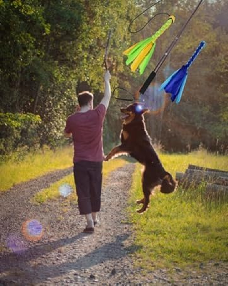 Dog Extendable Teaser Wand Pet Teasing Flirt Pole Interactive Toy （With 2 Cotton Chewing Rope） for Dog Outdoor Entertainment, Train and Exercise image number 1