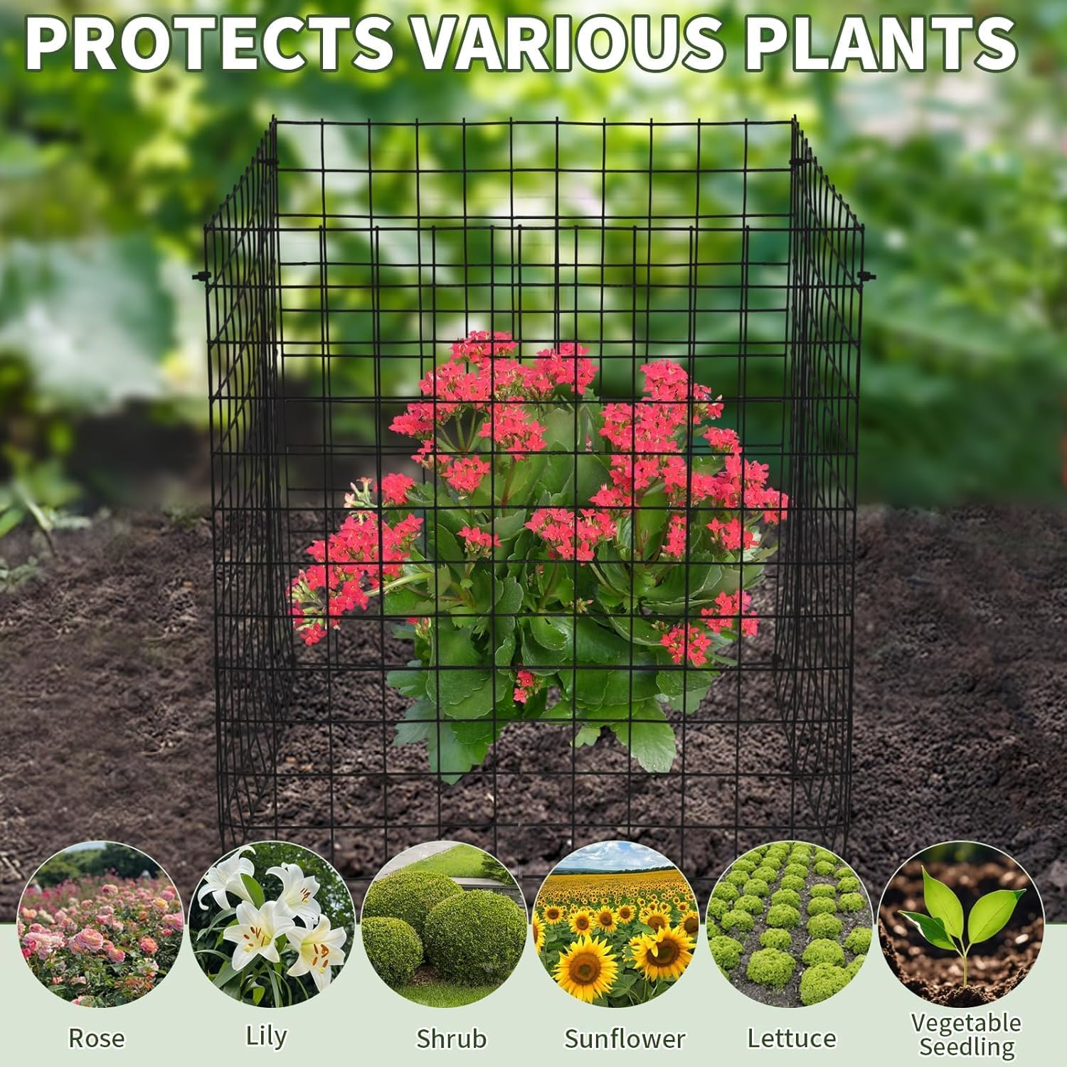 Xinghonyac 15 Pcs Plants Protector from Animals, Metal Wire Botany Protective Cover with Ground Pegs and Nylon Ties, Garden Plant Protection Net to Keep Animals Out for Indoor Outdoor Garden image number 6