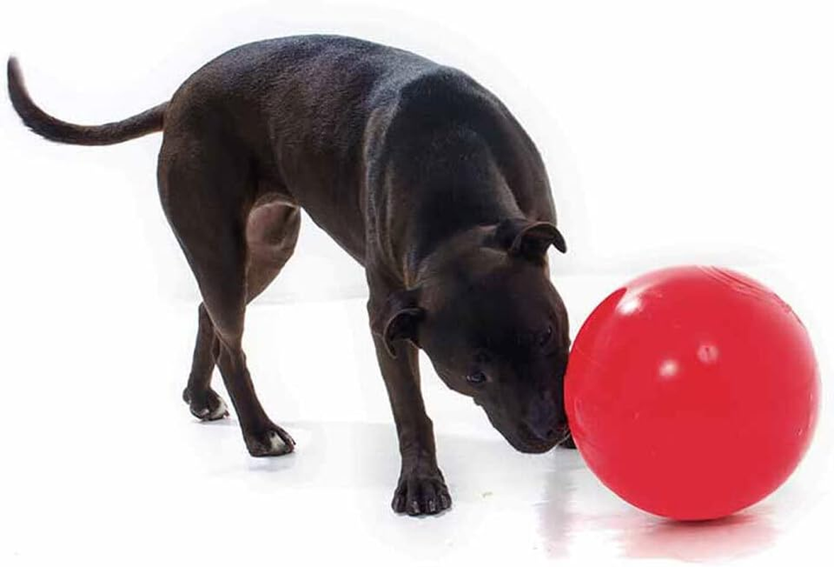 Aussie Dog Products 24Cm Enduro Interactive Hard Ball Toy Pet Outdor Red L