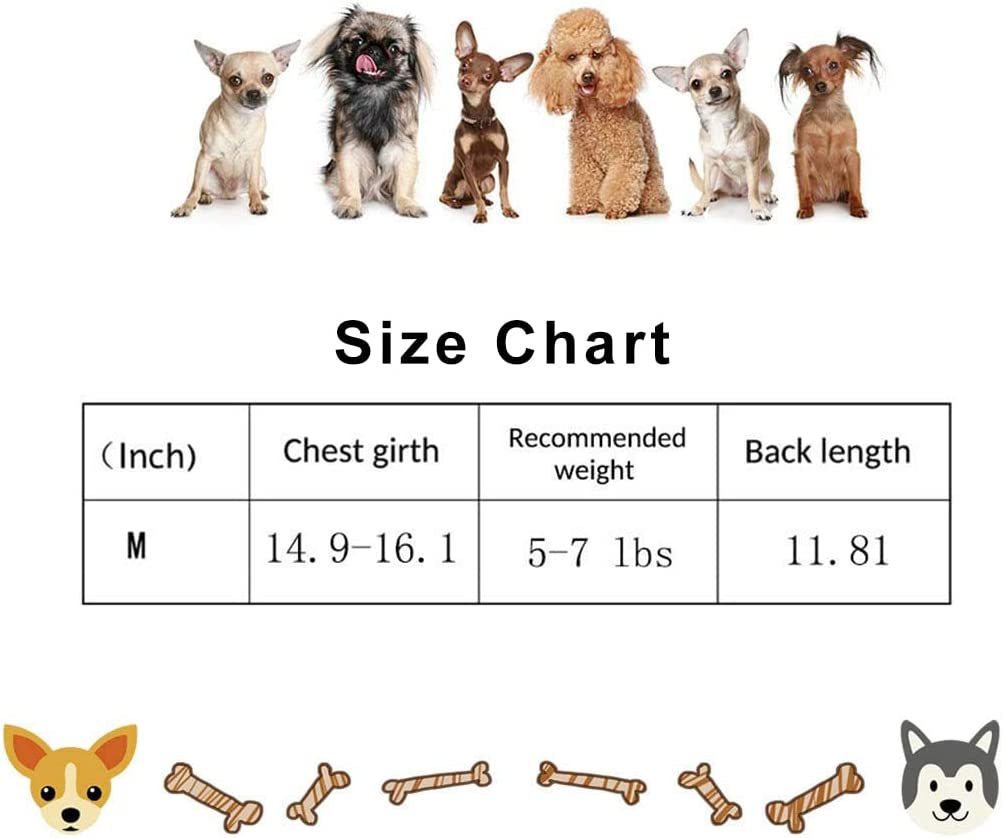 Dog Raincoat - Clear Waterproof Hooded Rain Jacket, Plastic Poncho for Small Medium Dogs image number 1