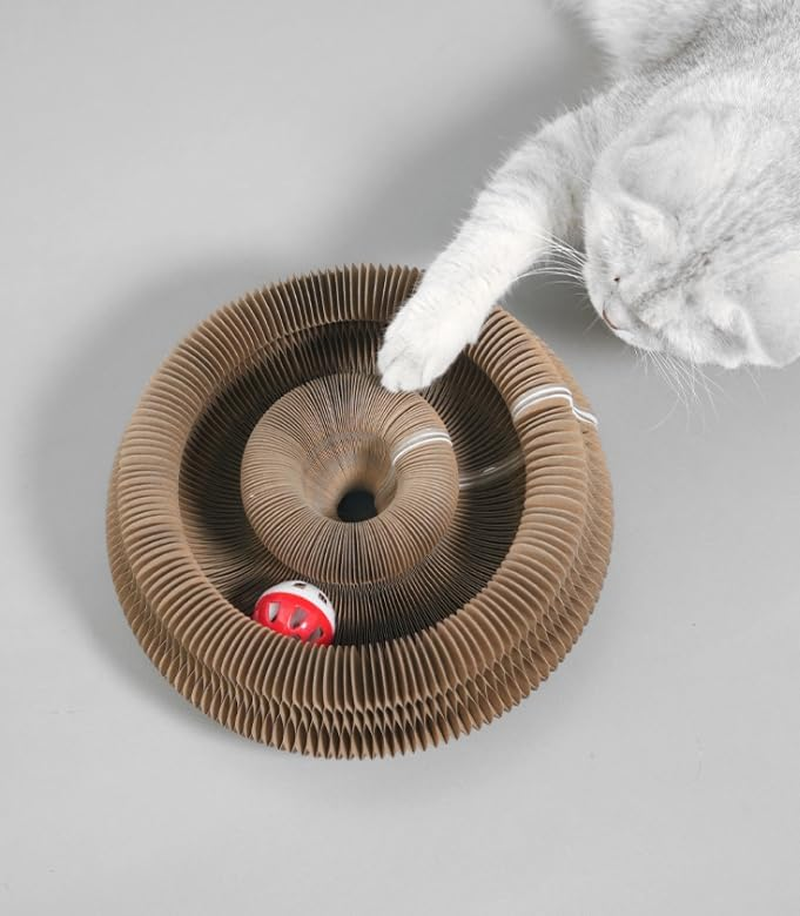 1PC Cat Scratch Board Toy, Foldable Accordion Design, Interactive Bell Ball, Mental Physical Exercise image number 4
