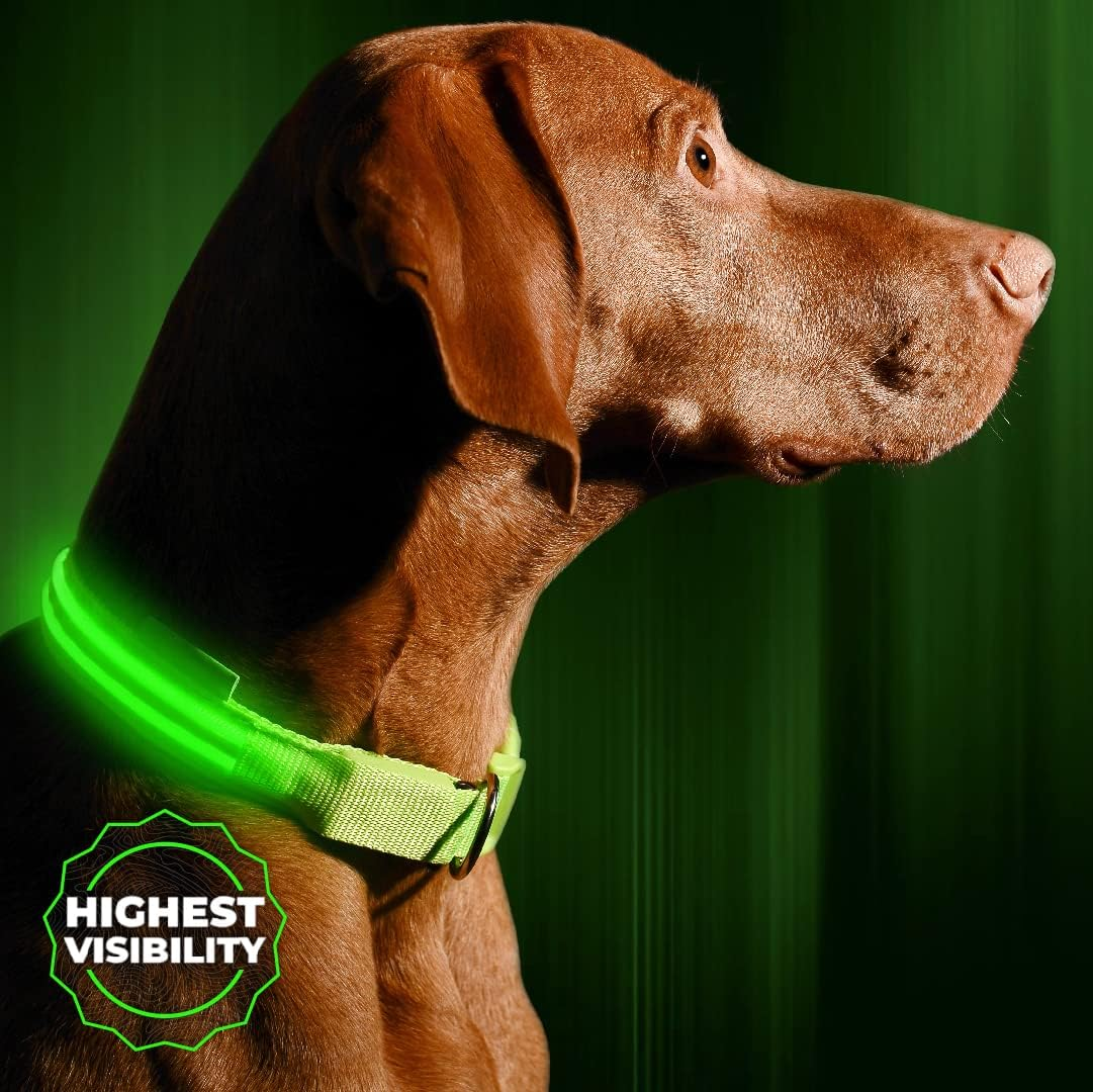 LED Dog Collar, USB Rechargeable, Your Dog Will Be More Visible & Safe, 6 Colours (Red, Blue, Green, Pink, Orange & Yellow) and 6 Sizes - Perfect to Use with Our Matching Illumiseen Leash (Royal Blue, X-Small (23 &ndash; 35Cm))