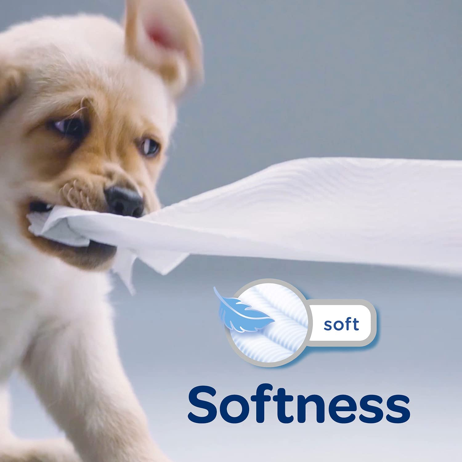 Kleenex Complete Clean Toilet Paper 60 Count (1X60 Rolls) - Packaging May Vary image number 1