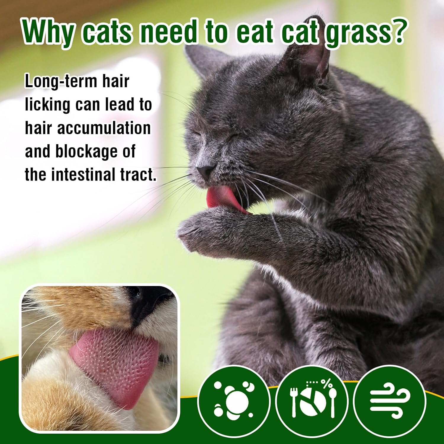 Cat Grass Teething Sticks, 100G Edible Freezed Drying Cat Grass Treats, Cat Snacks for Hairball Removal and Dental Care image number 3
