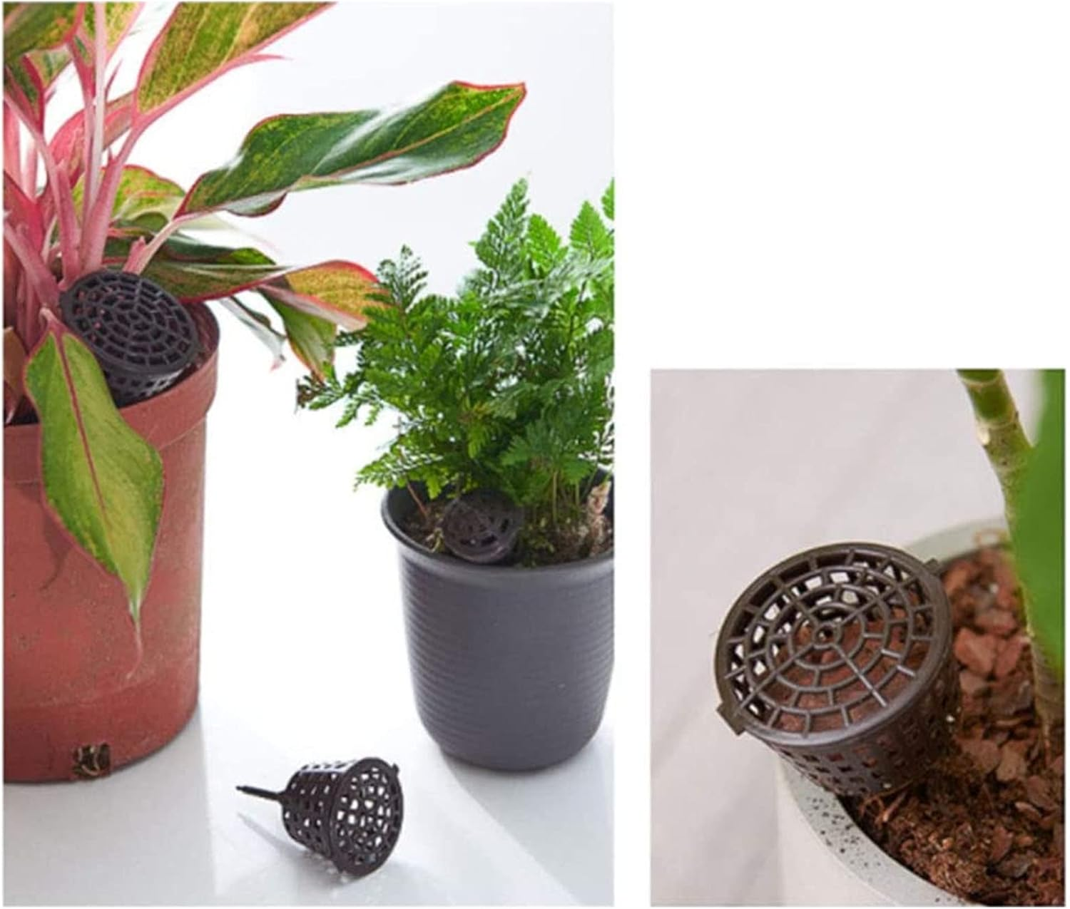 Plastic Fertilizer Mesh Basket with Lid, 100PCS, Easy to Use, Long Service Life for Succulent Orchid Bonsai (Large Size with Lid) image number 2