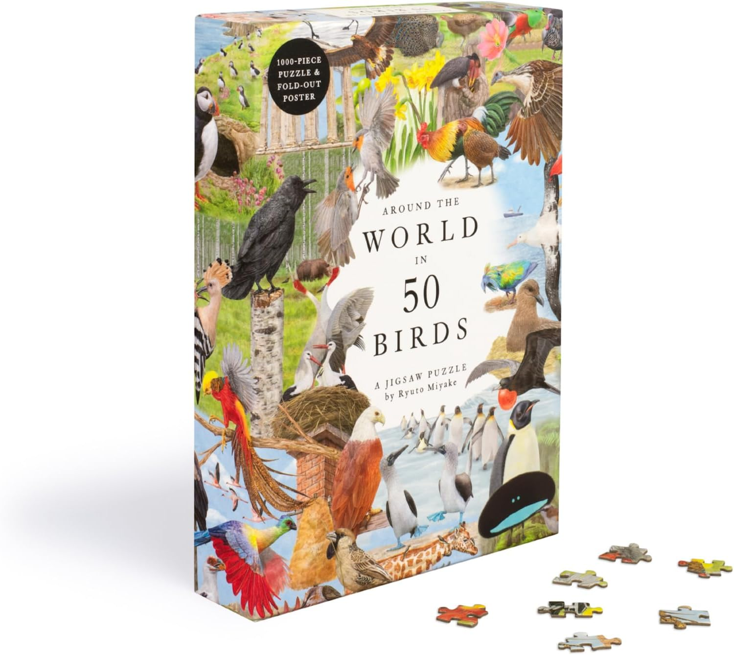 Around the World in 50 Birds: 1000 Piece Jigsaw image number 6