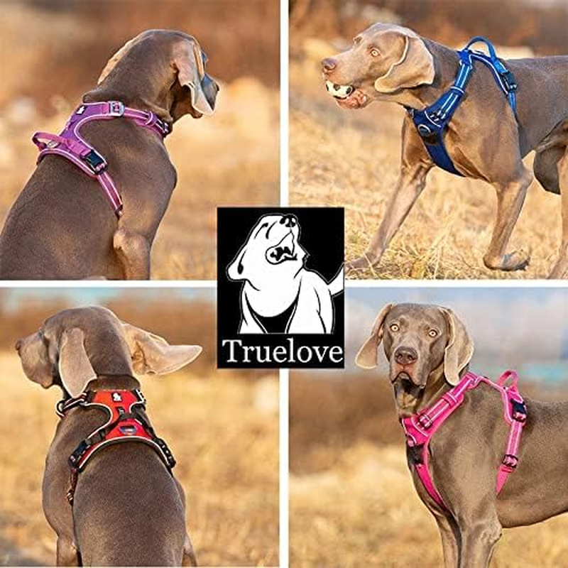True Love No Pull Dog Harness, Medium, Royal Blue image number 3