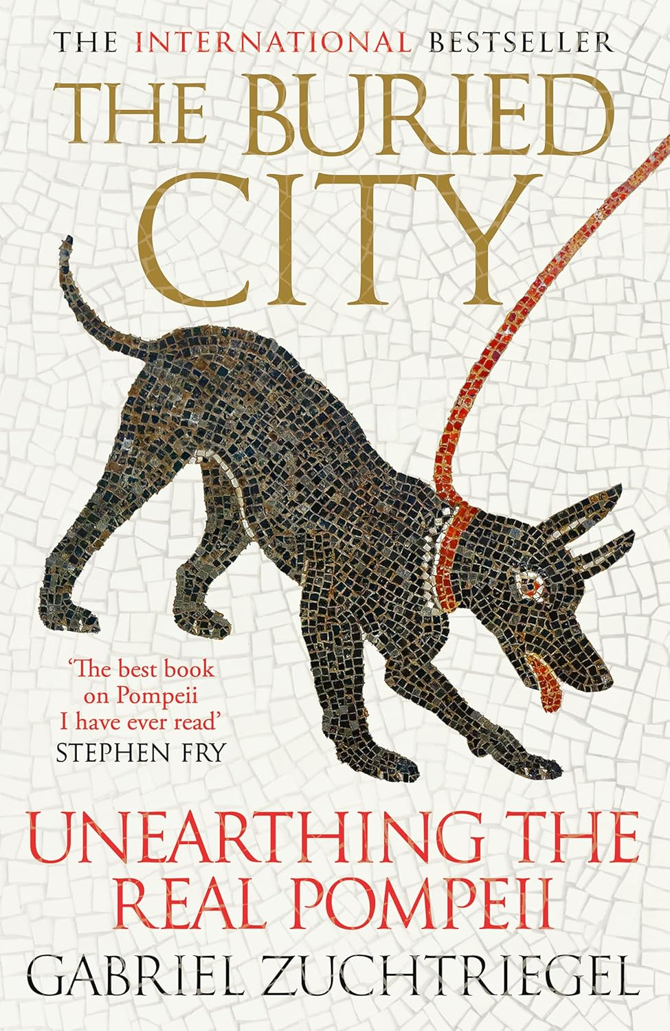 The Buried City: Unearthing the Real Pompeii - the Instant Sunday Times Bestseller image number 1