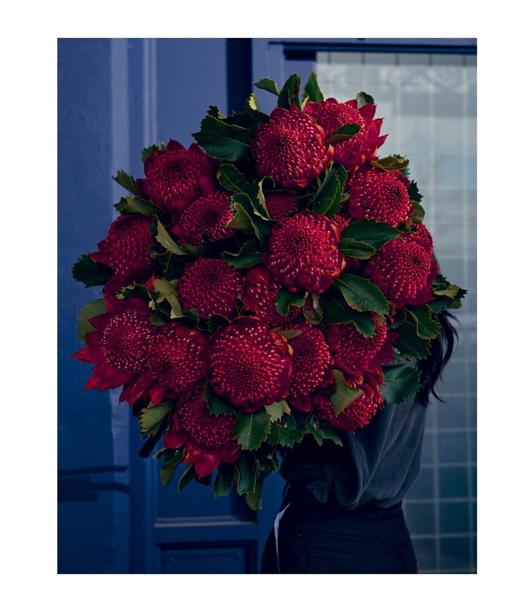 Bush Flowers: Australian Flowers and Foliage for Decoration and Design image number 6