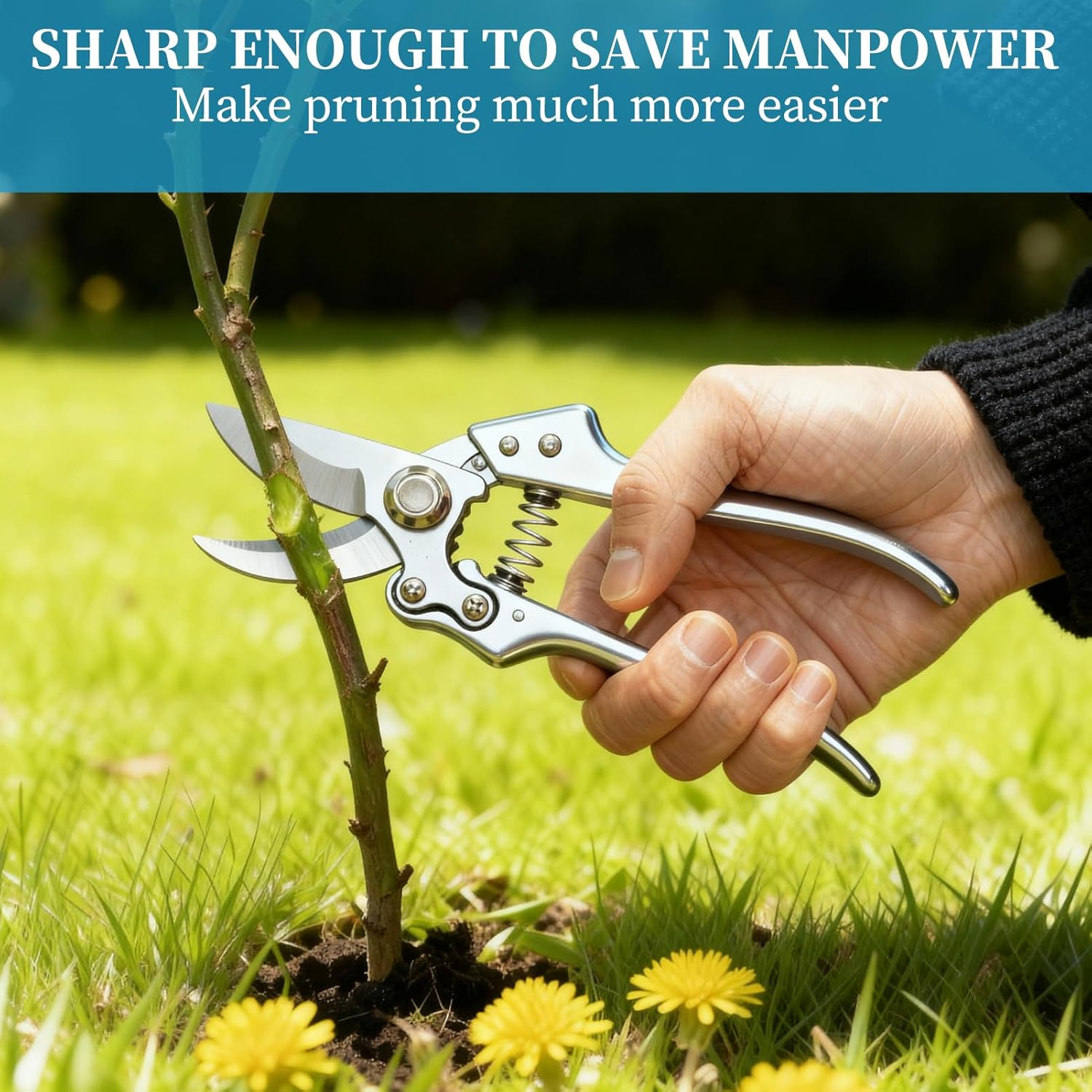 8" Bypass Pruning Shears - Stainless Steel Garden Shears, Professional Secateurs for Gardening, Versatile Garden Tools for Bonsai & Edging Border, Essential Gardening Supplies​ image number 4