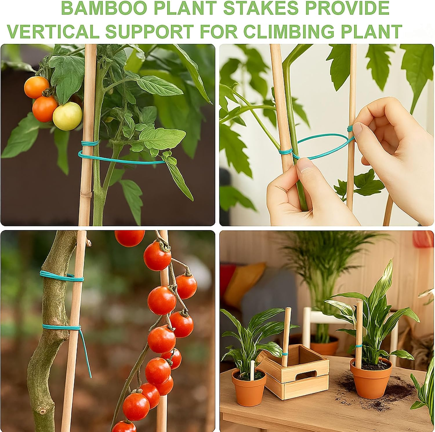 SYGELER Durable Bamboo Stakes for Plant &ndash; 20 Pack of 45CM Sturdy Bamboo Plant Sticks with 20 Twist Ties for Support &ndash; Ideal for Tomatoes, Beans, Flowers, Potted Plants image number 6