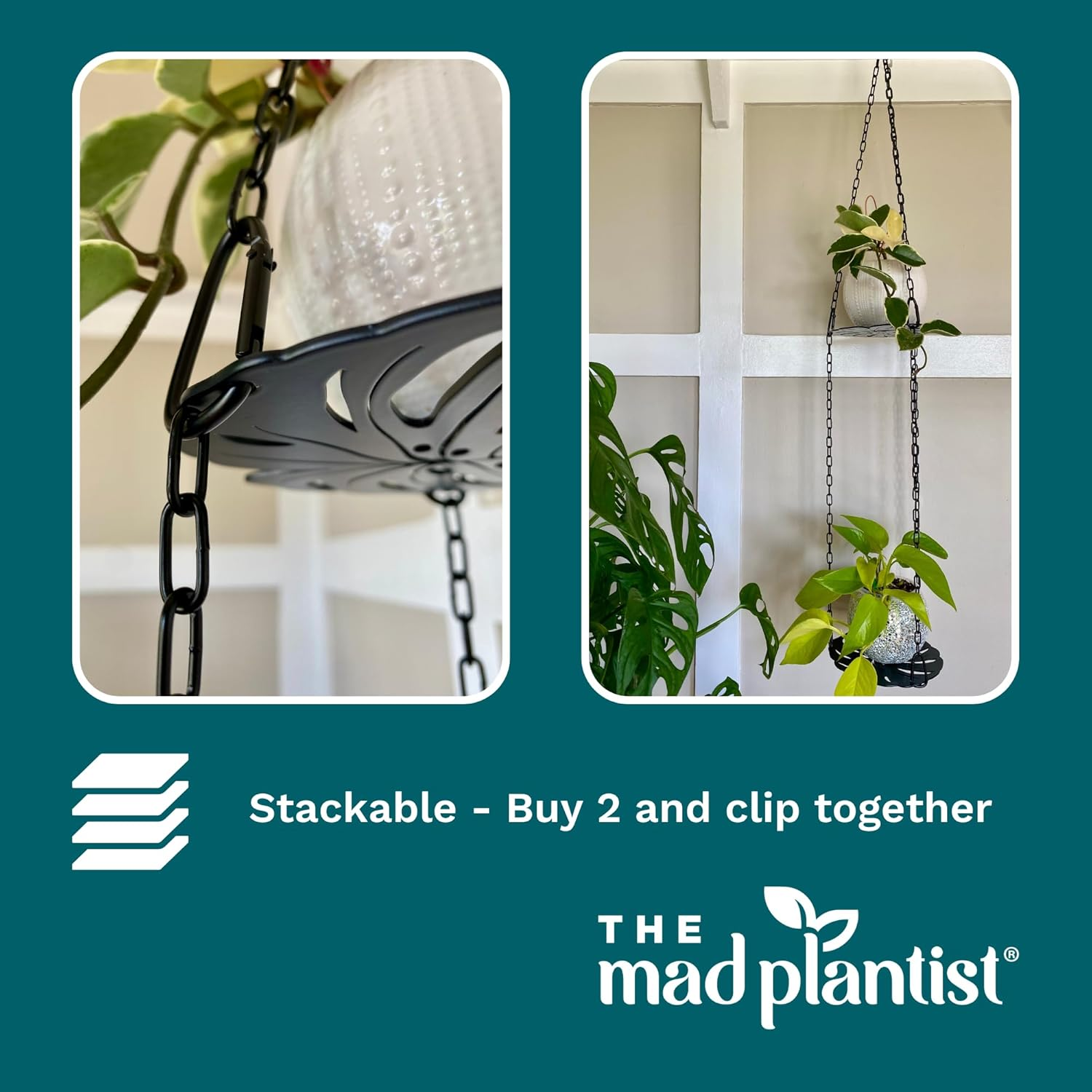 Plant Hanger - Chic Black Metal Hanging Planter for Indoor Plants - Monstera D&eacute;cor - Lasercut Powdercoated Steel - Unique Botanical Design - Clear Your Benchtop - Elevate Your Jungle image number 4