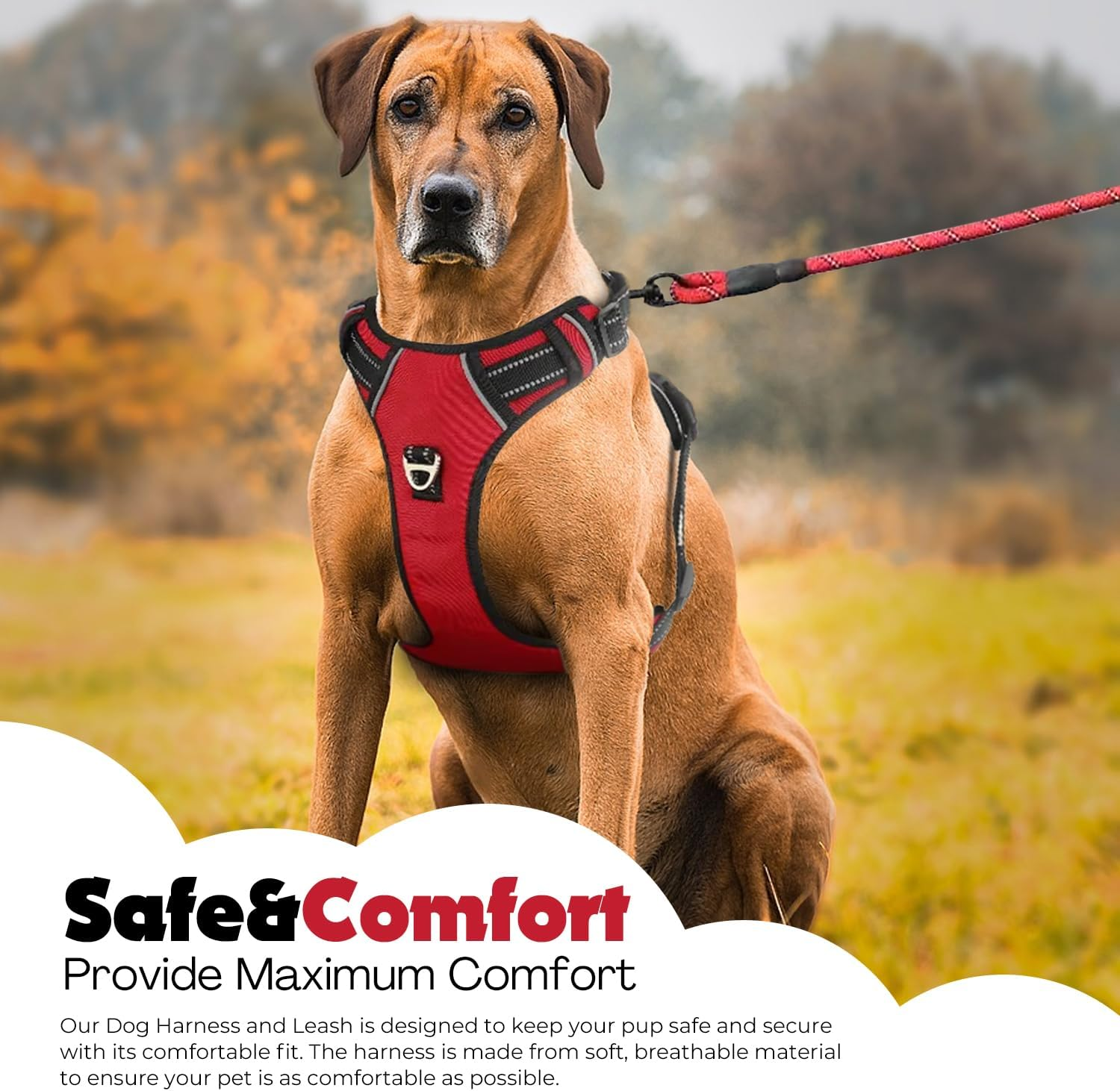 No Pull Dog Harness,Oxford Dog Vest Harness, Reflective No-Choke Pet Harness with Easy Control Soft Handle Walking Dog Harness,Double Padded, Adjustable, Small to Large Dogs Incl Bonus Leash (Red, XL) image number 2