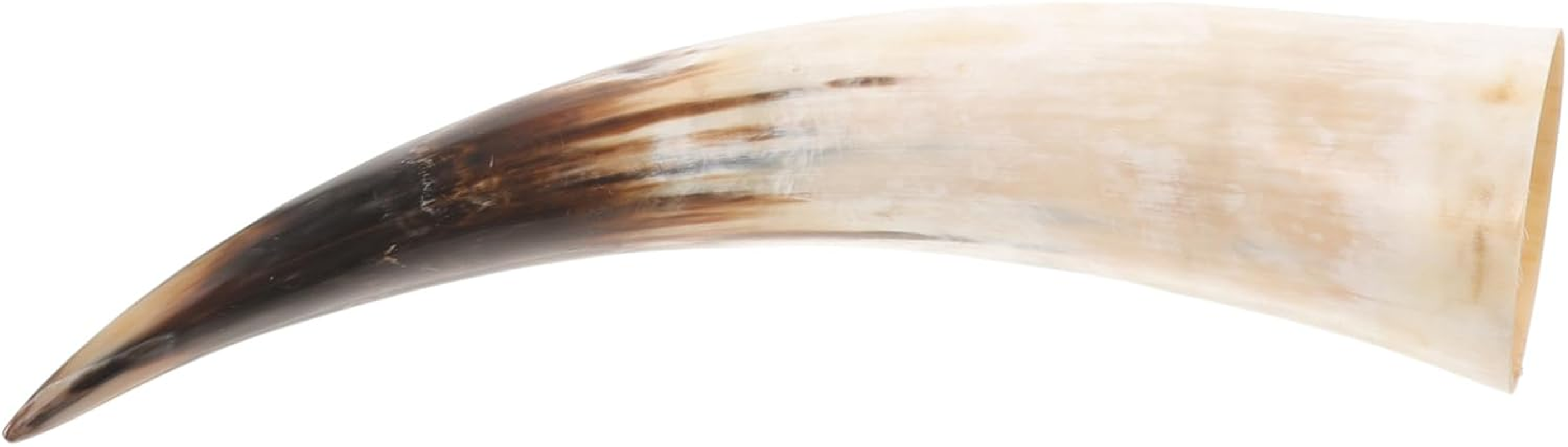 Amosfun Cow Horn Vase Wall Sconce 40-48Cm Natural Authentic Bull Horn Vintage Farmhouse Decor Sustainable Rustic Home Decoration image number 5