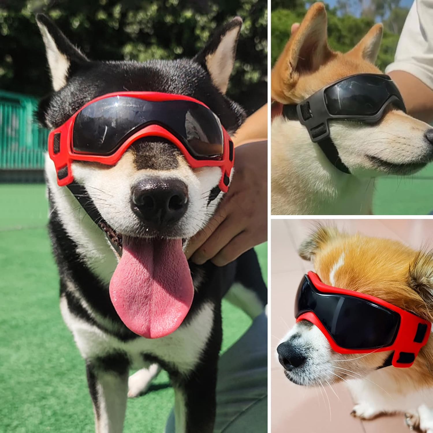 Dog Goggles Protective Sunglasses Adjustable Pet Glasses for Small Medium Dogs