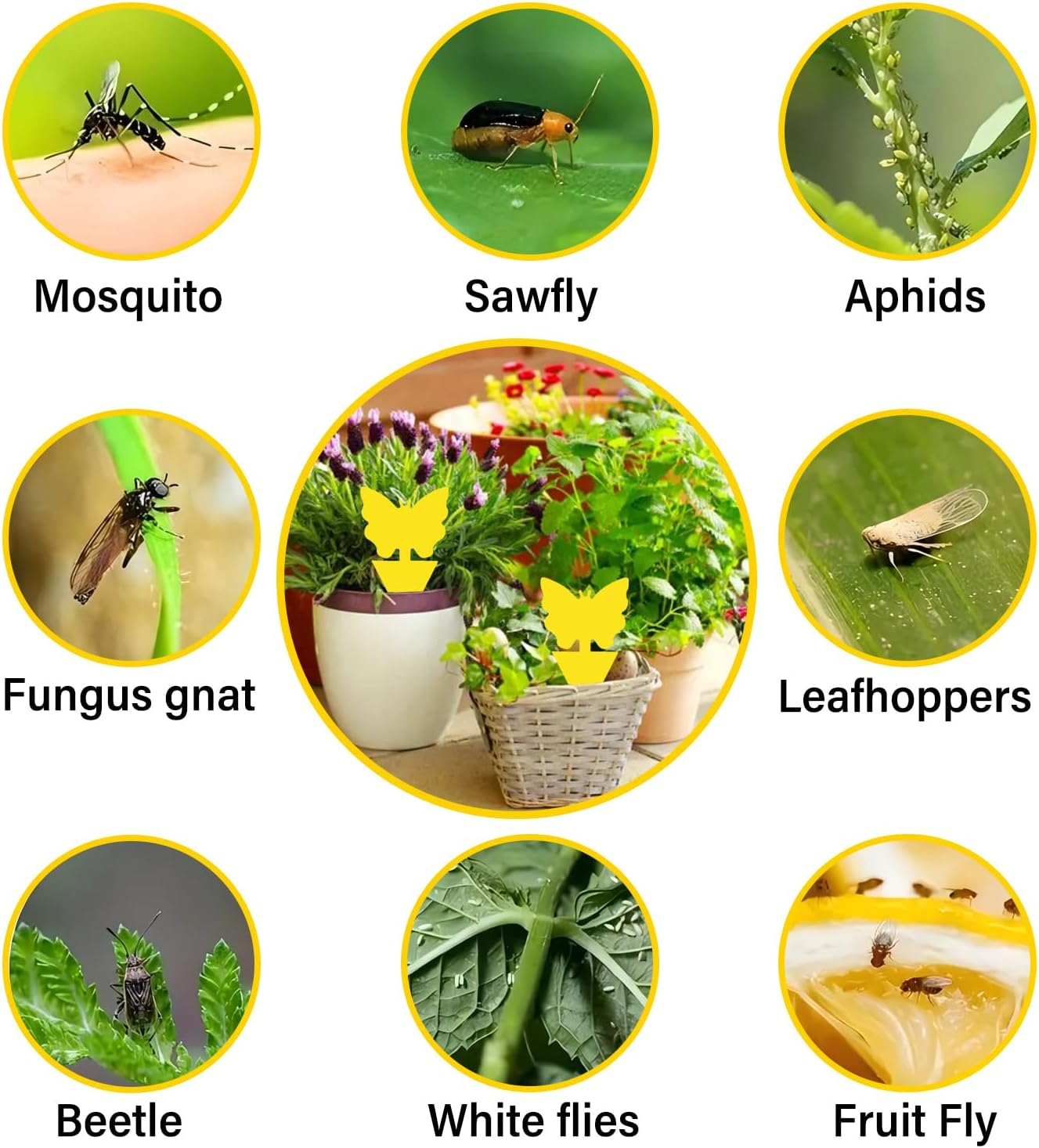 60 PCS Sticky Traps, Gnats Fruit Fly Traps, Butterfly & Christmas Tree Dual-Sided Sticky Insect Catcher for Fungus Gnats Whiteflies Mosquitos Aphids Leafminers Flying Insects, Indoor and Outdoor Use
