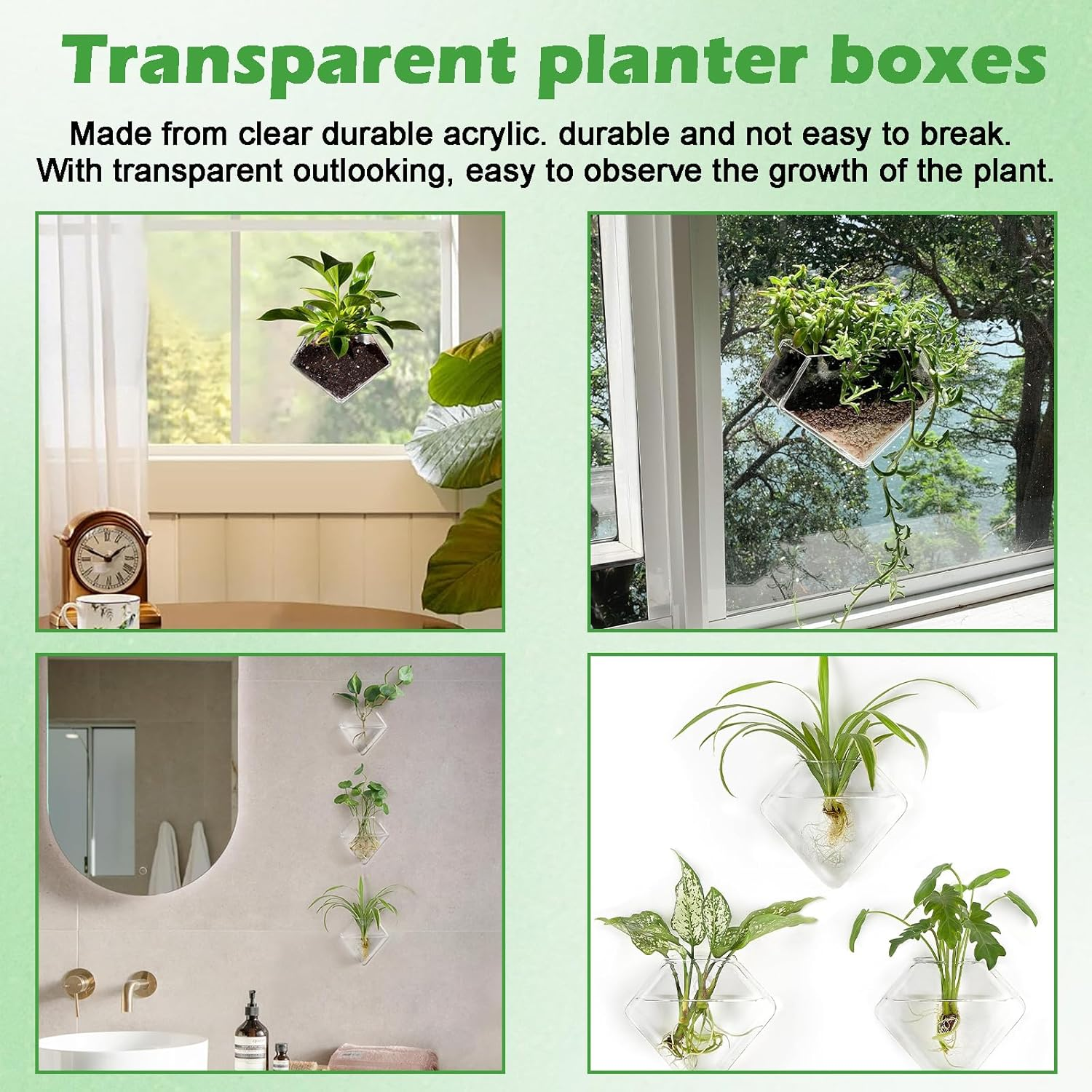 Acrylic Window Planter - Herb Garden - Ideal for Home Gardening Transparent Suction Cup Pot for Succulents, Herbs, and Indoor Gardens image number 5