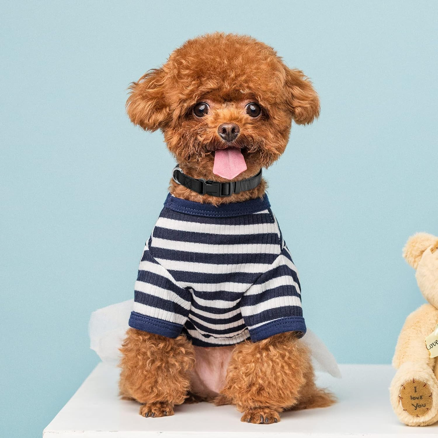 Puppydoggy Adjustable Dog Collar Black Nylon Dog Collar Martingale Collar for Dogs with Quick Release Buckle Classic Pet Collar for Small Medium Large Dogs (Small 1 Pack, Black) image number 5