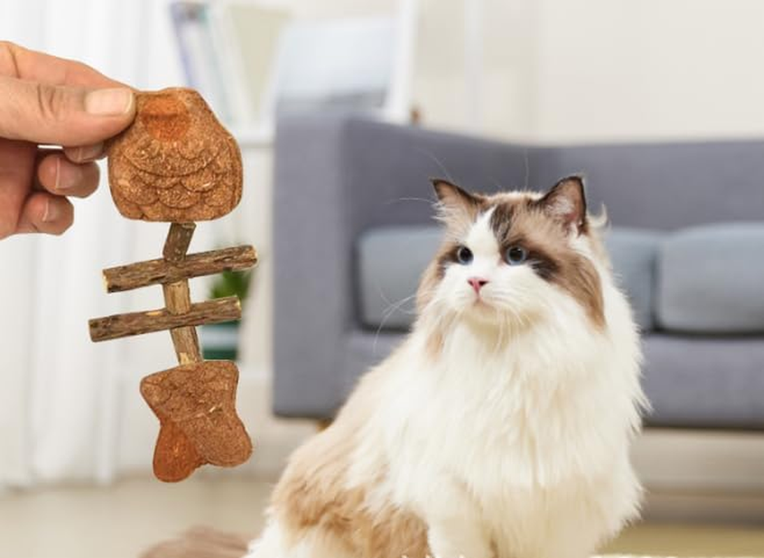 JCBCKJ 3-Pack Creative Cat Chew Toy, Cat Fish Toy Mu Tianliao and Gall Fruit Blend, Catnip for Stress Relief, Appetite Boost, Teeth Cleaning of Interactive Cat Toy image number 5