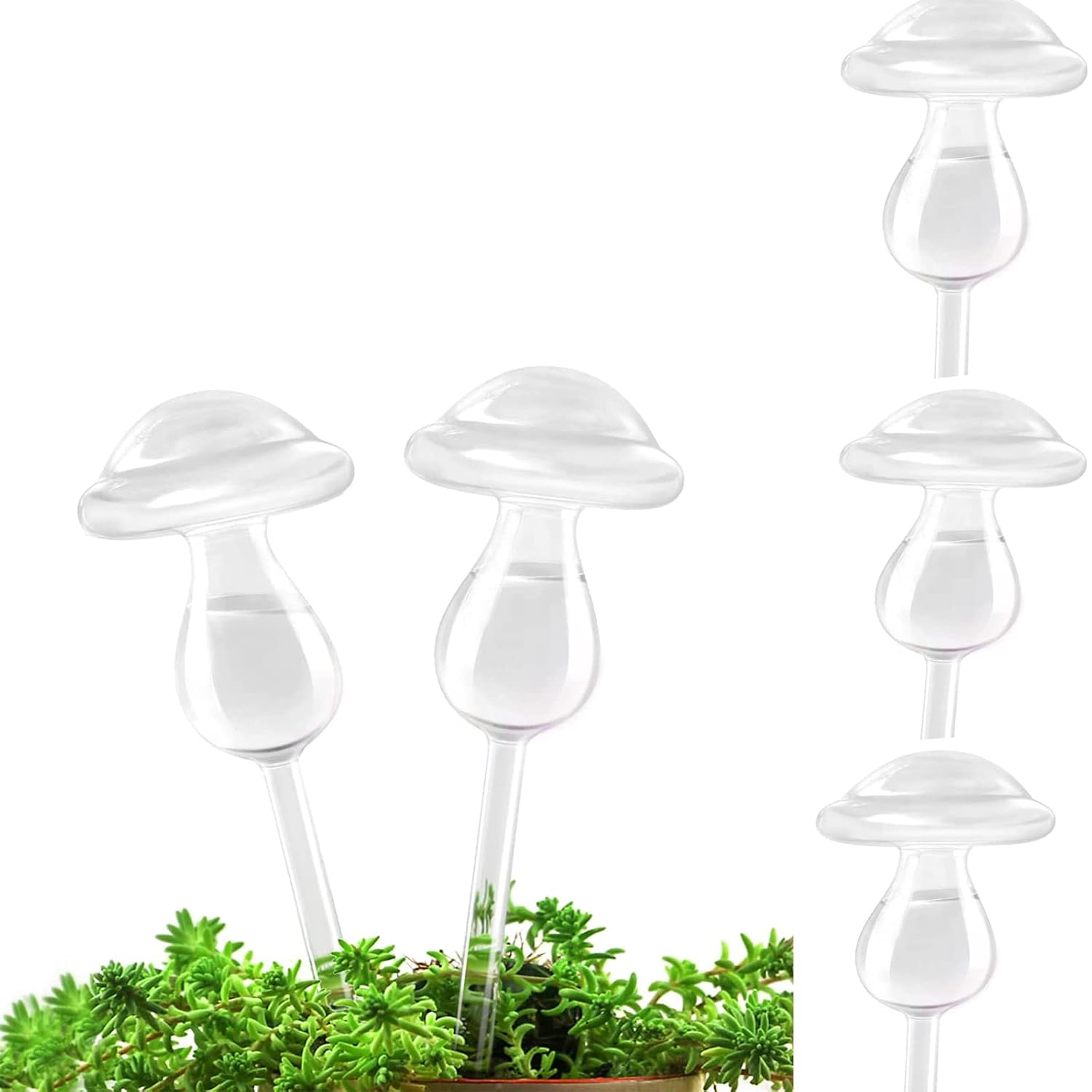 3Pcs Plant Waterer Self Watering Globes, Hand Blown Clear Glass Plant Water Bulbs for Indoor & Outdoor (Mushroom) image number 4