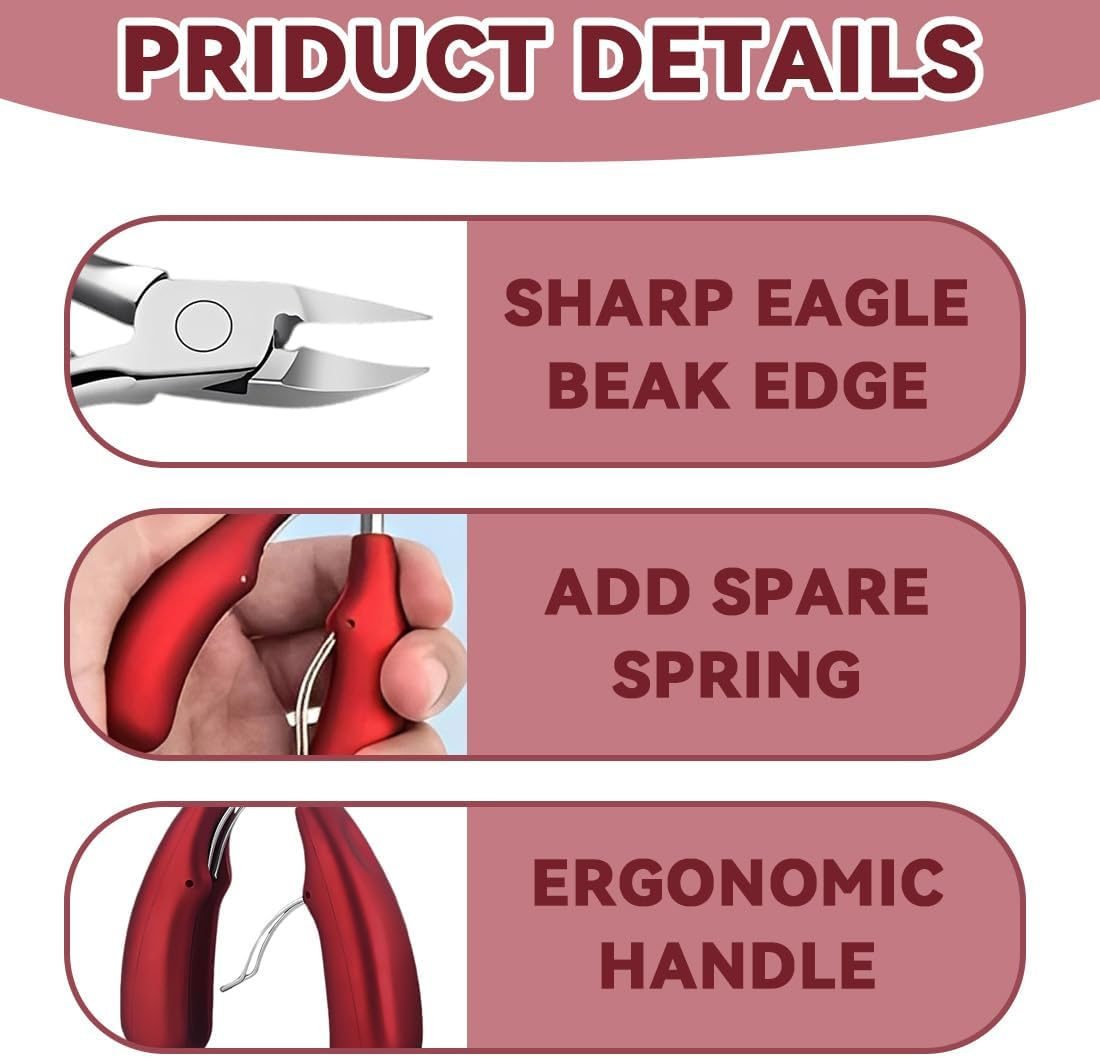 IEBTAWN 1 X Nail Scissors for Deep Ingrown Toenails Made of Stainless Steel for Thick and Fungal Infestation Nail Clippers the Eagle Beak Design Allows Easy, Deep Cutting of Nails image number 5