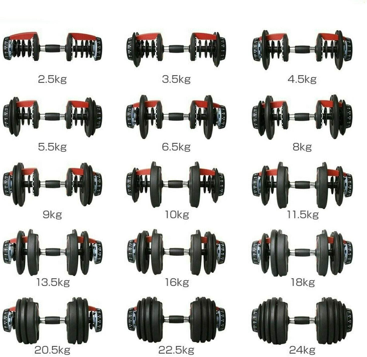 Fitness Master Adjustable Dumbbell Stand Rack Holder Home Gym Equipment Weight