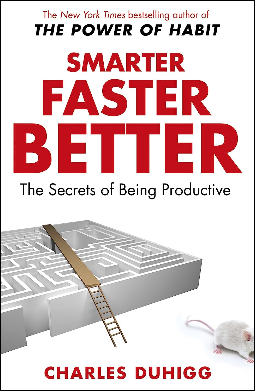 Smarter Faster Better: the Secrets of Being Productive