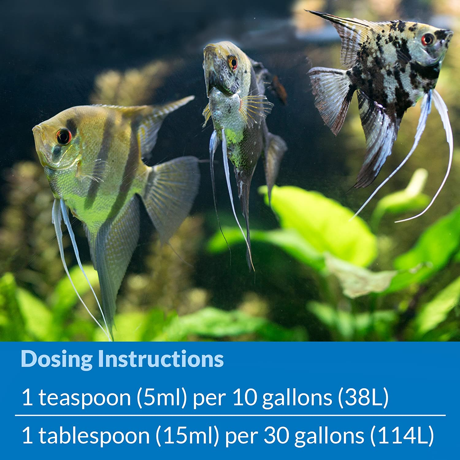 API Coat Aquarium Treatment, 237 Ml