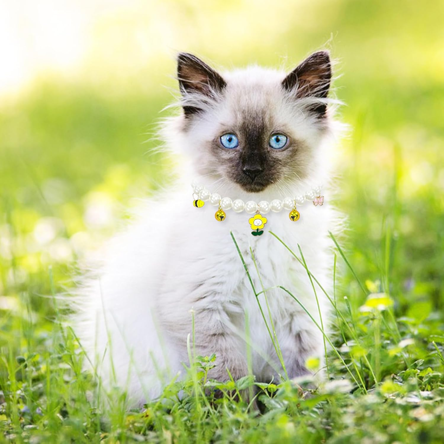 Yanmucy Cat Collar with Bell Pearl Pet Cats Dog Necklace Collar Accessories Necklace Jewellery for Kittens Small Pets Wedding Party Costume Outfits