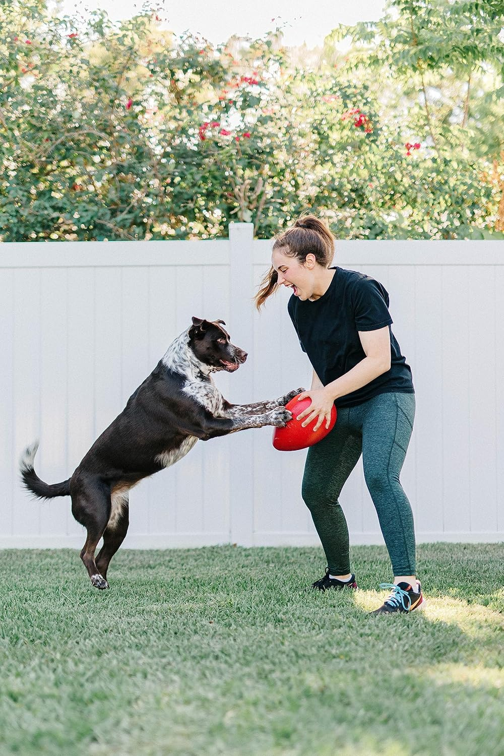Jolly Pets Jolly Egg Dog Toy, 8 Inches/Medium, Red (JE08 RD) image number 5