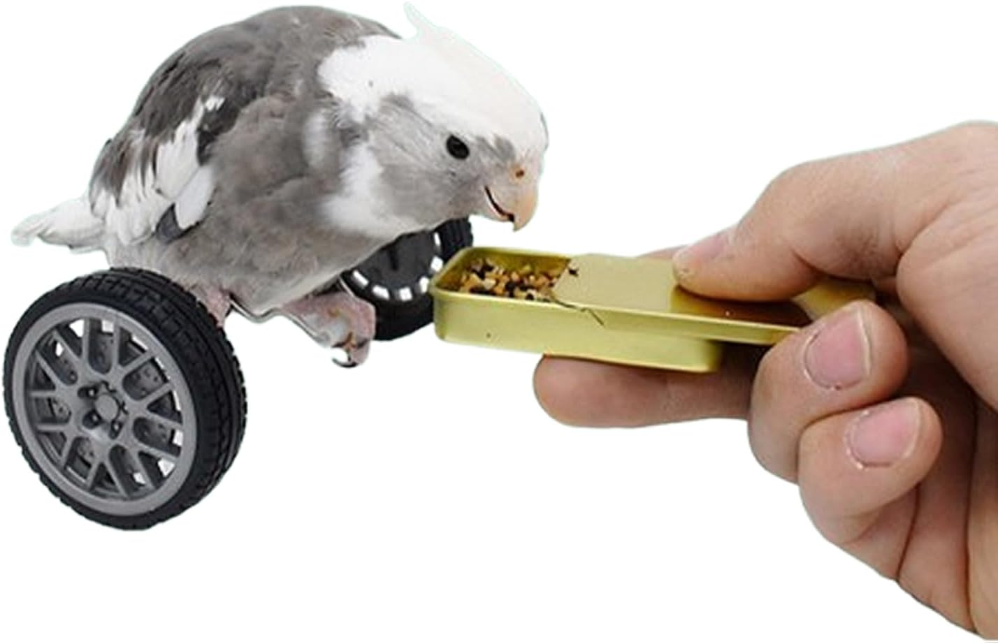 SUSOO Bird Intelligence Training Toys with Food Box Set, Puzzle Balance Bird Foot Talon Stand Car Toy for Parrot, Conures, Cockatiels, African Grey, Birds Table Foraging Feeding Desktop Trick Prop Toy image number 2