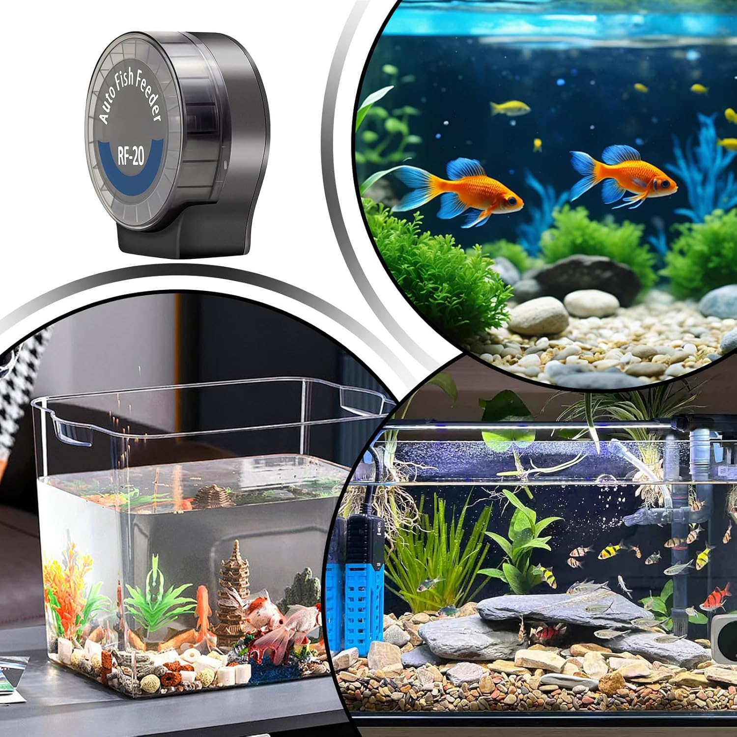 Fish Tank Feeder Automatic with 6-Level Adjustment | Automatic Shrimp Feeder | 140Ml Programmable Feeding Timer Tank Aquarium for Desktop Office Home Axolotl Frog Shrimp image number 3