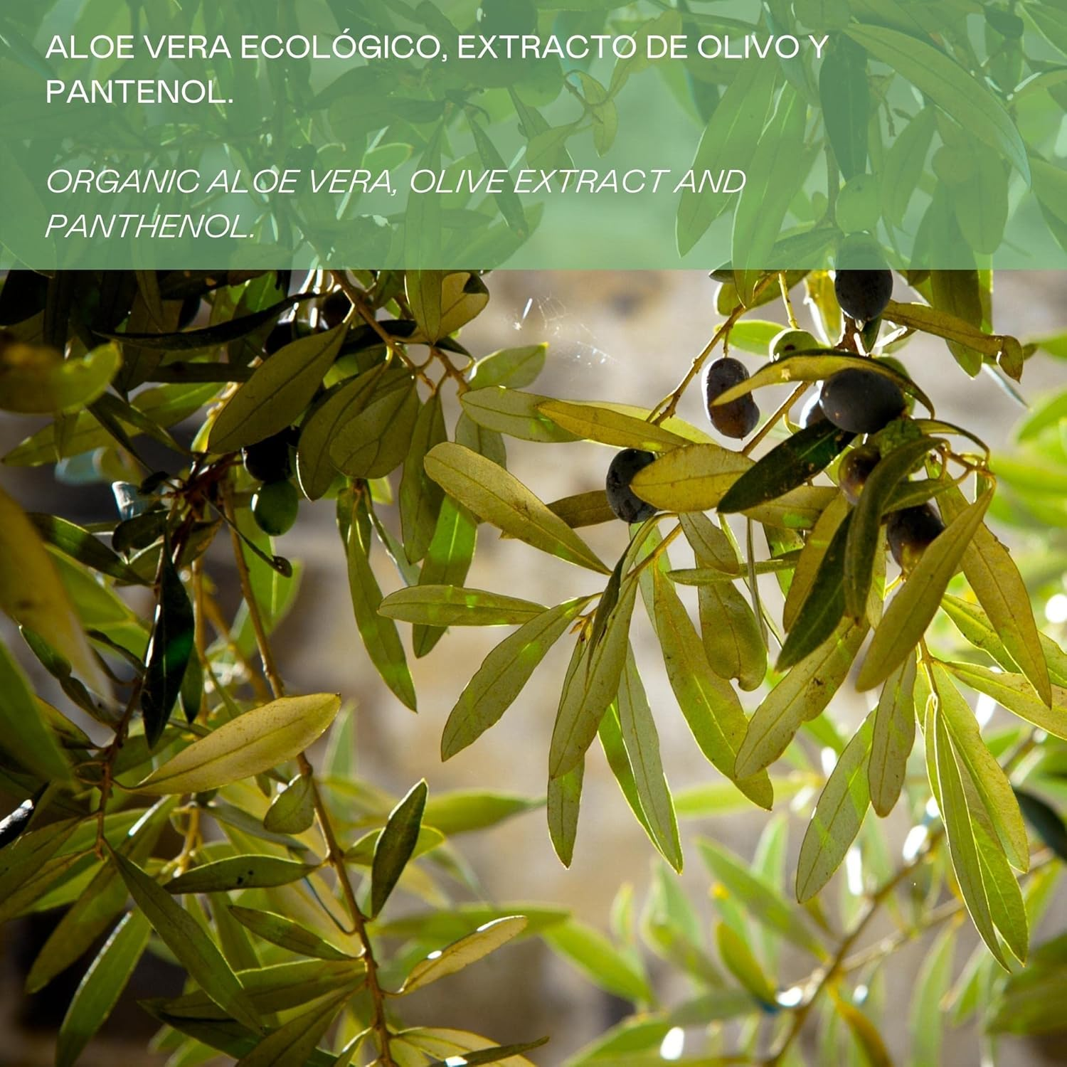 V&aacute;lquer Intensive Olive Hair Repair Mask - 1000 Ml image number 2