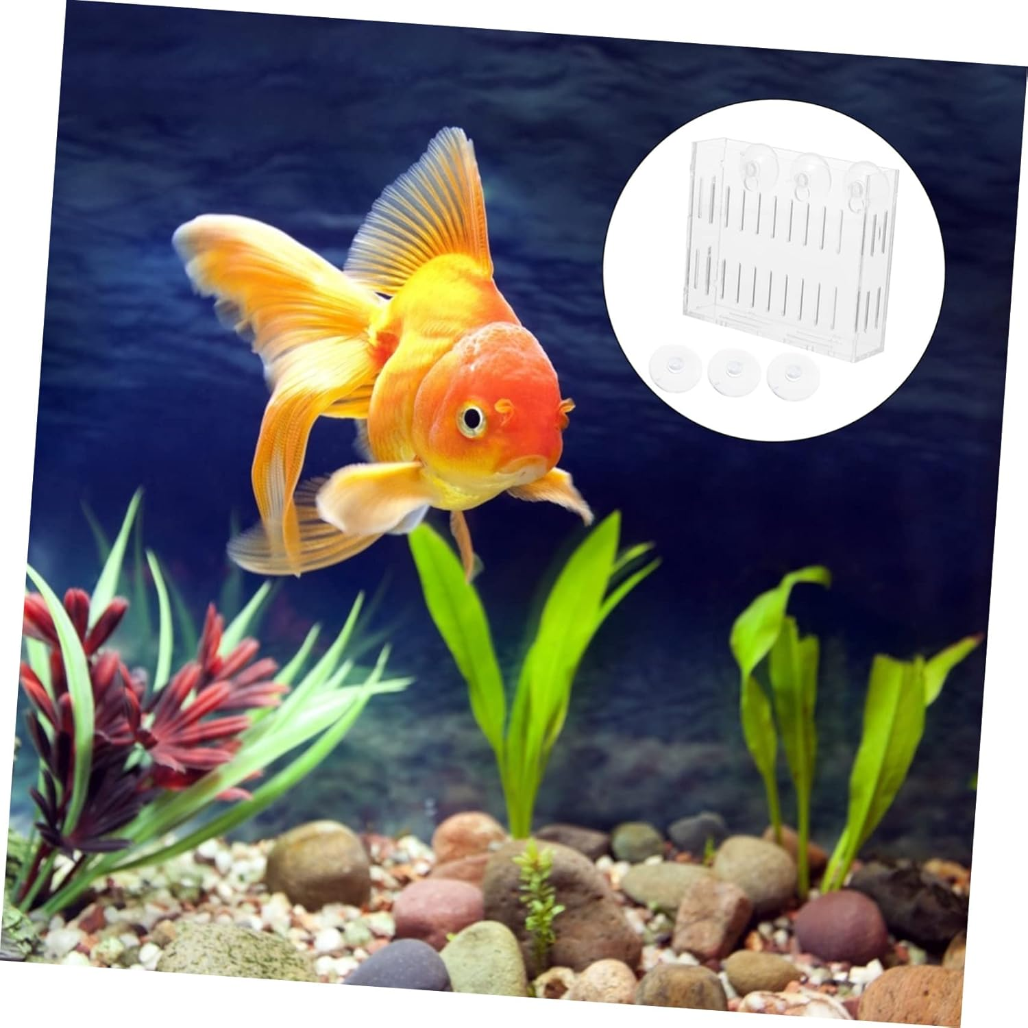 GANAZONO Acrylic Aquatic Plant Holder with Suction Cup, Large Mini Water Plant Pot for Fish Tank Landscape, Water Grass Cup Suitable for Aquarium Decoration and Aquatic Pets image number 3