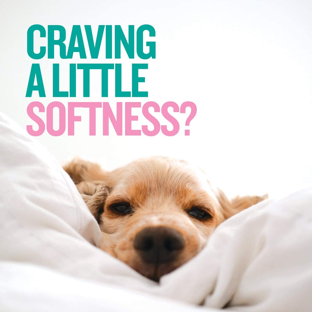 Biozet Attack plus Softener Powder Detergent, 2 Kilograms image number 6