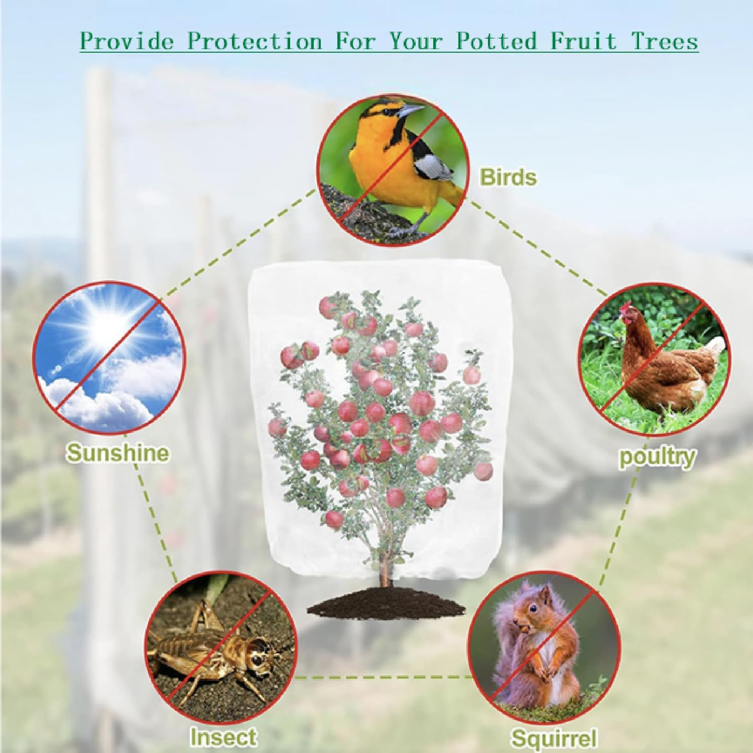 Hysgscwd 7.9 X 7.9 Ft Large Fruits Tree Netting Bags, Garden Plant Netting Cover with Zipper and Drawstring, Bird Plant Barrier, Flower Blueberry Bushes Mesh Screen for Preventing Deer Squirrel Cicada