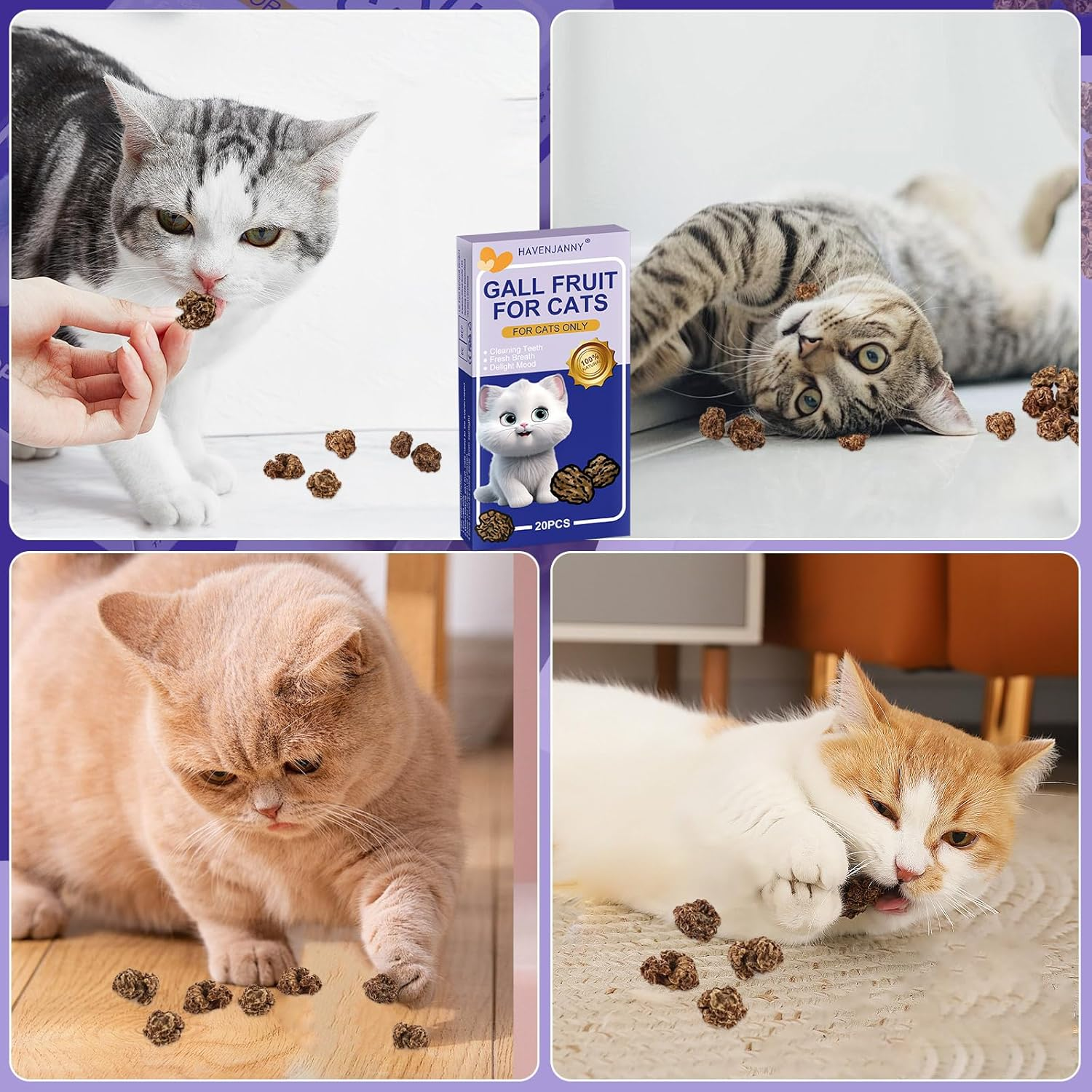 Havenjanny 20Pcs Dried Silvervine Gall Fruit, Natural Silver Vine Cat Chew Toy, Matatabi Cat Toy for Dental Cleaning Hard Chew Cheer Up image number 3