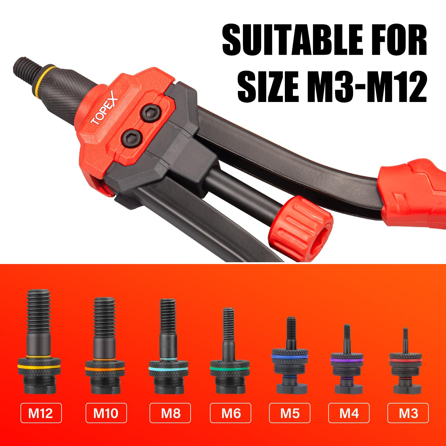 TOPEX Rivet Bolt Steel Rivets Tool Zinc Plated Steel Flange Blind Nutserts Flat Zinc M3 M4 M5 M6 M8 M10 M12 Wuth Storage Case for Belts Wallets Collars Leather DIY Craft Supplies