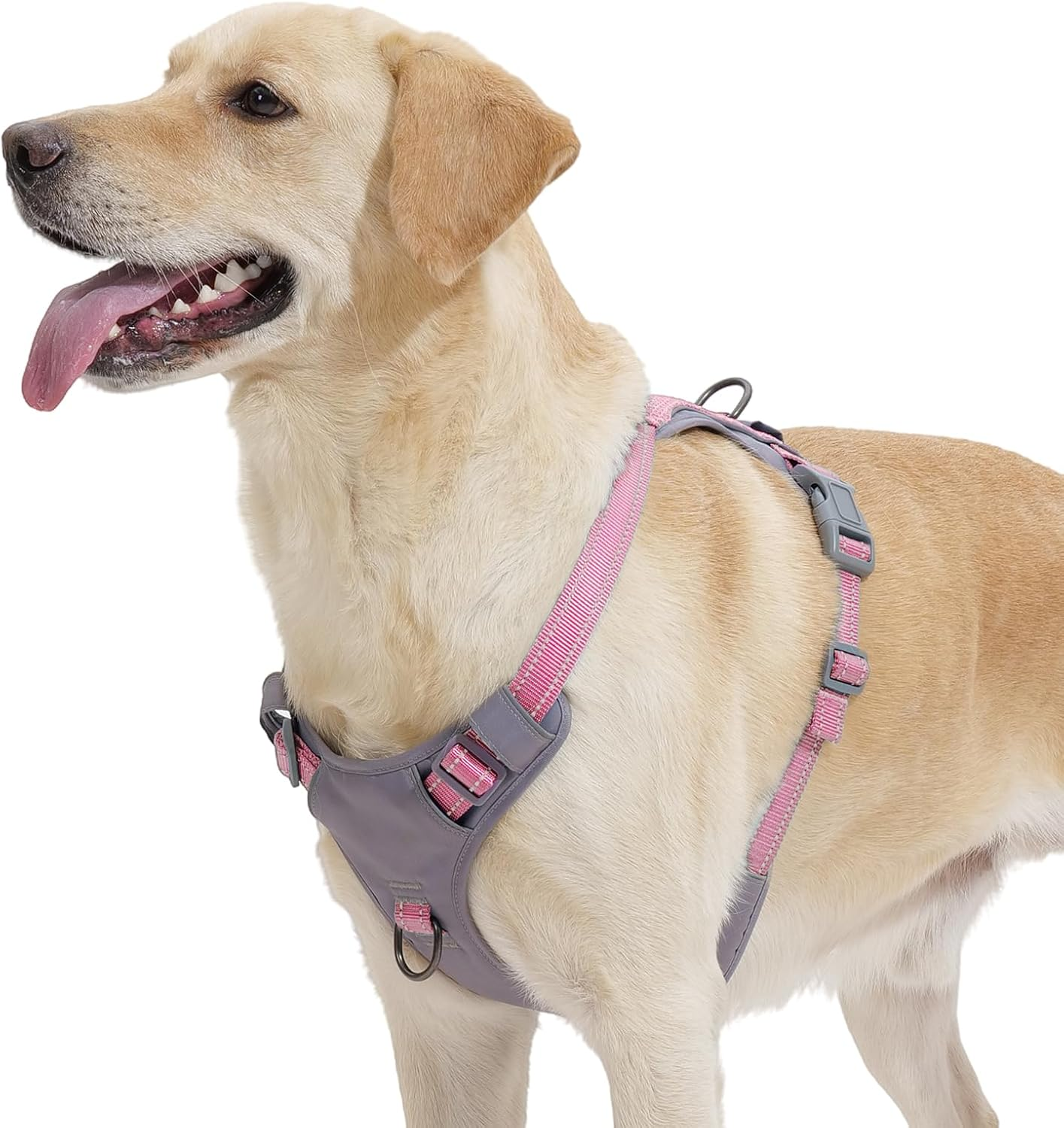 Huntboo No-Pull Dog Harness, Fully Reflective Vest with 2 Leash Clips, No-Choke, Adjustable, Breathable & Durable for Small, Medium & Large Dogs Walking, Training, Running (Light Pink, L) image number 7