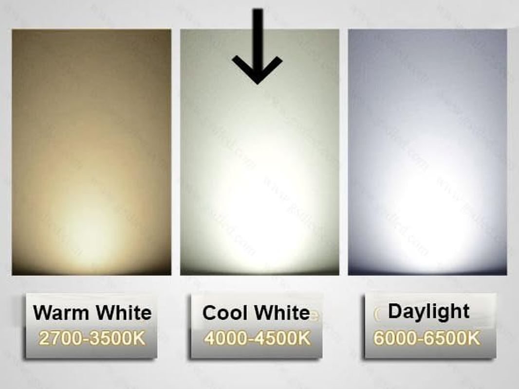 12 X 14W Dimmable LED Light Globes Bulbs Lamps Cool White E27 Screw - 1400Lm image number 1