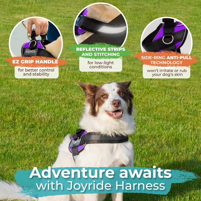 Joyride Harness 2.0 - the Original Side Ring No Pull Dog Harness - No Choke, Escape Proof, Reflective, 3 Leash Clips, Quick Fit Pet Vest - Easy Walks & Training - for Small, Medium & Large Dogs image number 4
