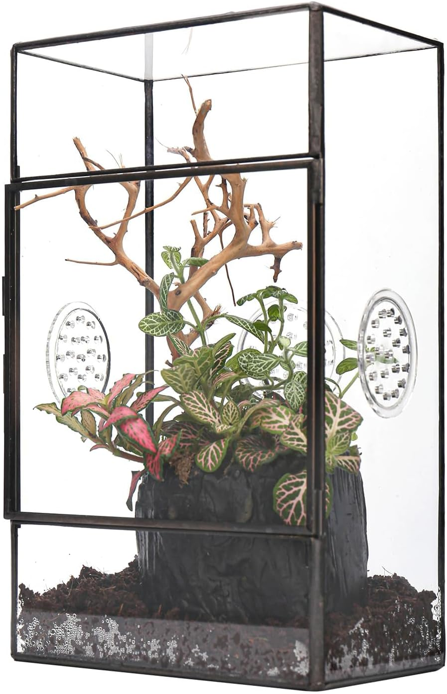 NCYP Glass Enclosure for Large Jumping Spider - 5.1" X 3.9" X 9" Front Opening Door Glass Plants Terrarium with 3 Vent Holes, Small Rectangle Insects Habitat, Black (Terrarium Only) image number 6