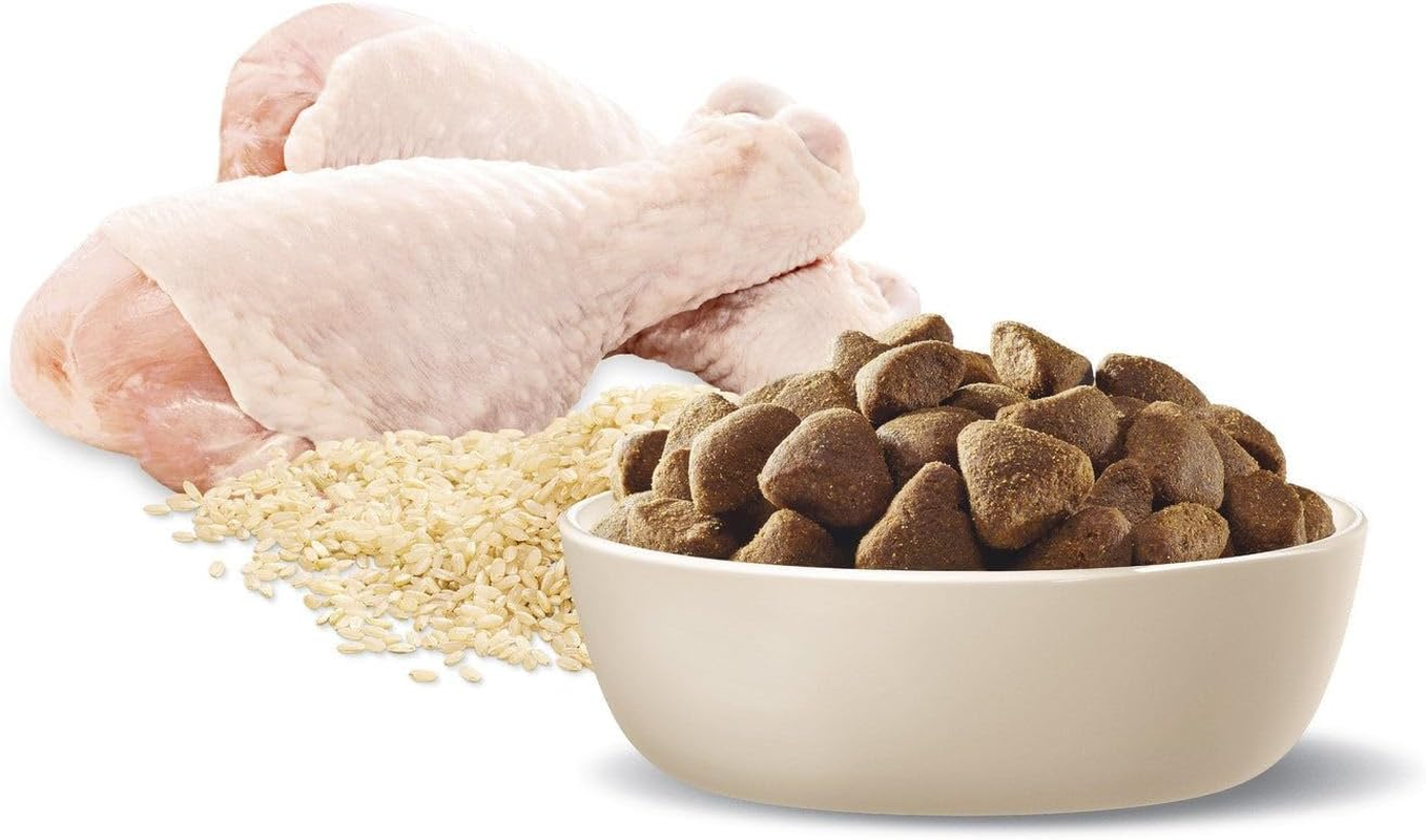 ADVANCE DOG HEALTHY AGEING LGE BRD CHICK 15KG (374969) image number 1