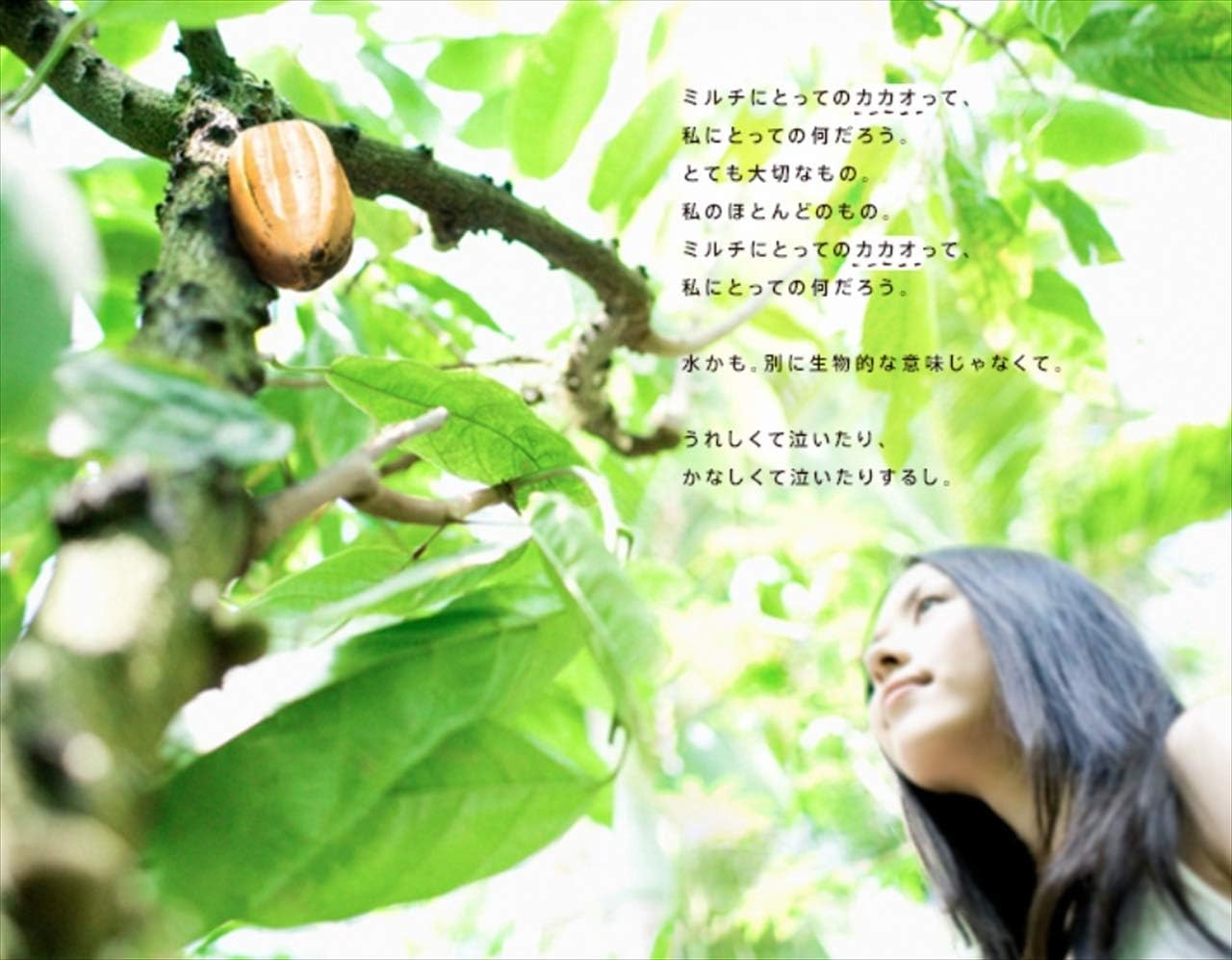 Meiji Milk Chocolate 1.8 Oz (50 G) X 10 Packs image number 2