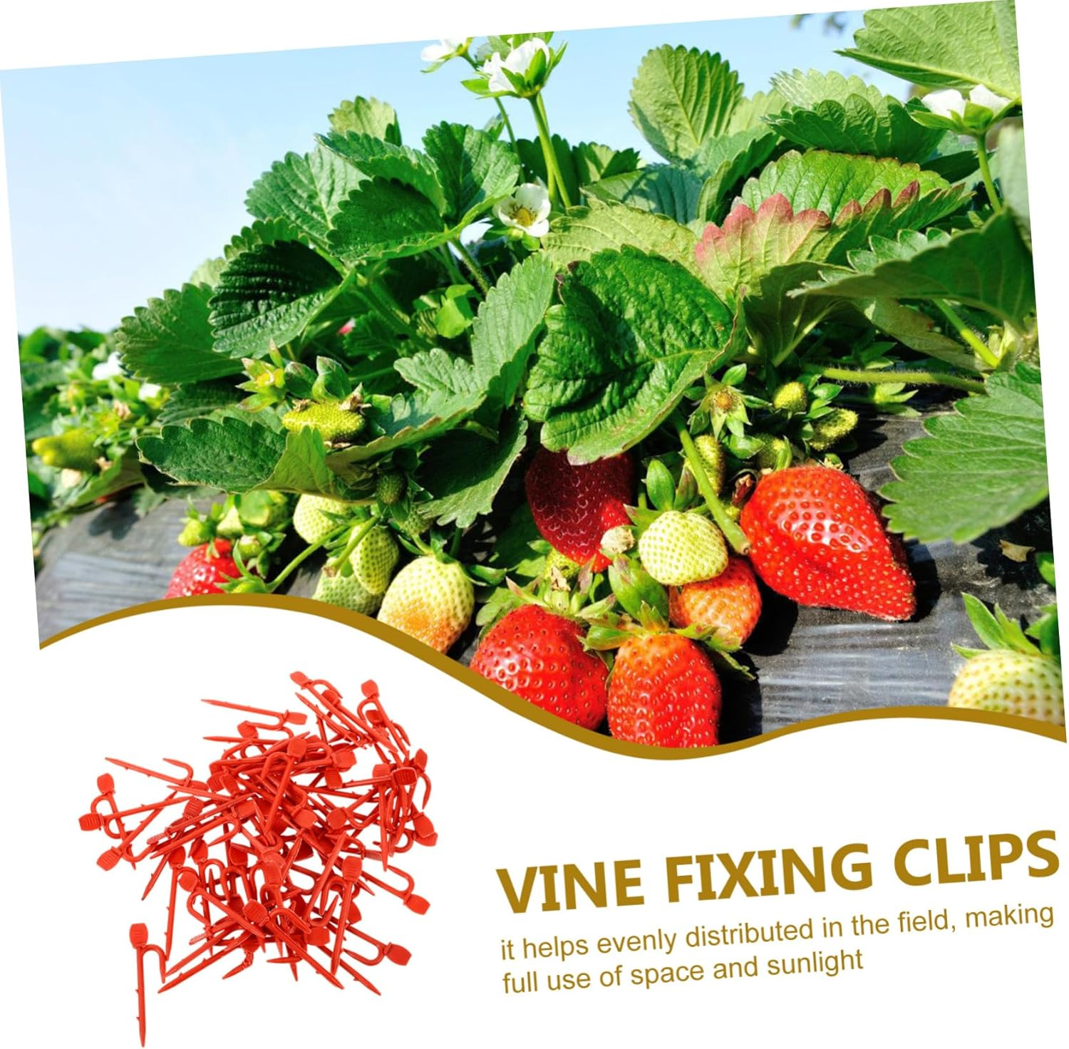 CIMAXIC 1Bag Stolon Fastening Clip Gardening Vine Clip Plant Fixing Supply Strawberry Seedling Fork Fastening Vines Clamp Gardening Plant Fixing image number 6